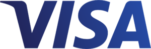 Visa 2014 logo detail